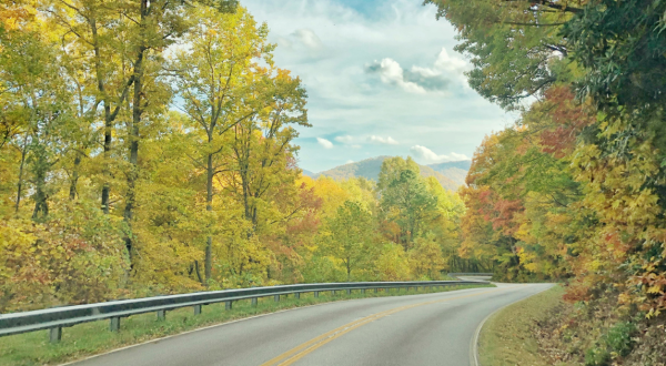 The Under-The-Radar Scenic Drive In Georgia That Showcases Mountains And Beautiful Scenery