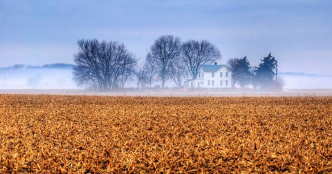 9 Surefire Signs You Have Strong Roots in Kansas
