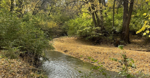 The Entire Family Will Love This Short And Simple Hike In Kansas