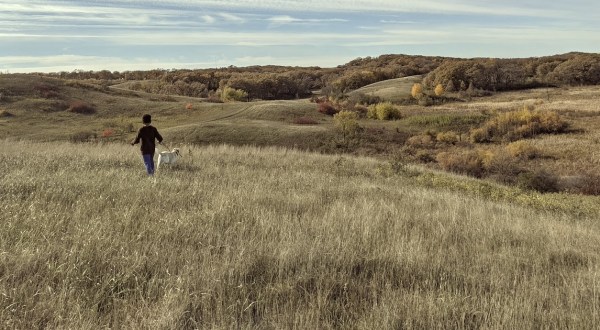 The Stunning Landscape In Minnesota That Appears As Though It Was Ripped From An Andrew Wyeth Painting