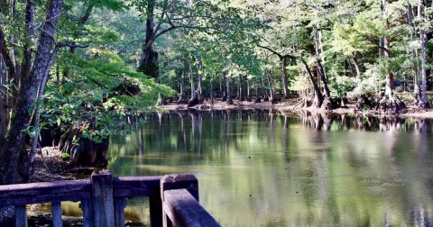 Exploring This Lakeside Recreation Area In Alabama Is The Definition Of An Underrated Adventure