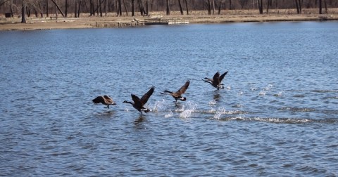 This Little-Known Lake Is Perfect For Easy Fishing And Bird Watching In Iowa