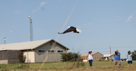 The Underrated Iowa Tribe's Grey Snow Eagle House In Oklahoma Where You Can Watch Bald Eagles Fly