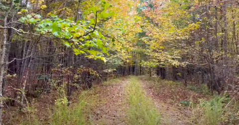 This Abandoned Hiking Trail In Oklahoma Leads You On A Fascinating Adventure