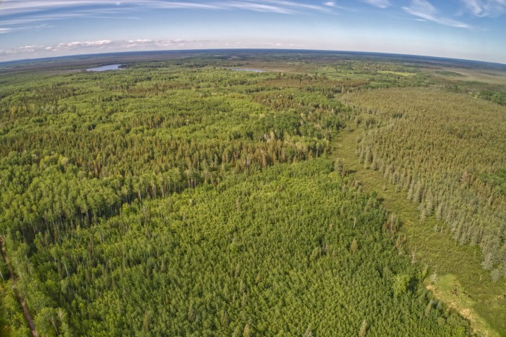 Sprawling nature preserve featuring bogs & forests in Northern Minnesota