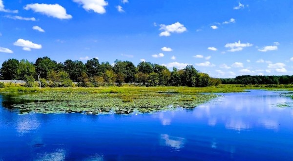 This Little-Known Lake Is Perfect For Easy Fishing, Kayaking, Canoeing, And Camping In Arkansas