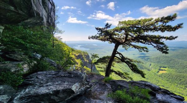 This Incredible Lookout In North Carolina Is So Worth The Hike It Takes To Get There