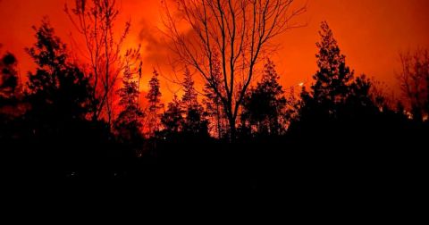 North Carolina Declares State of Emergency in Response to Rampant Wildfires
