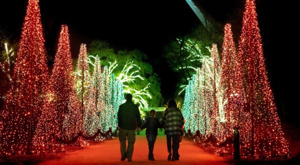 7 Christmas Light Displays In Northern California That Are Pure Holiday Magic