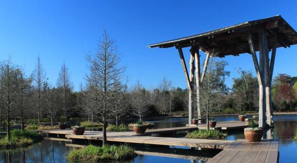 Explore A Little-Known Arboretum In This Small Texas Country Town