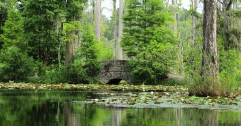 The Stunning Landscape In South Carolina That Appears As Though It Was Ripped From A Claude Monet Painting