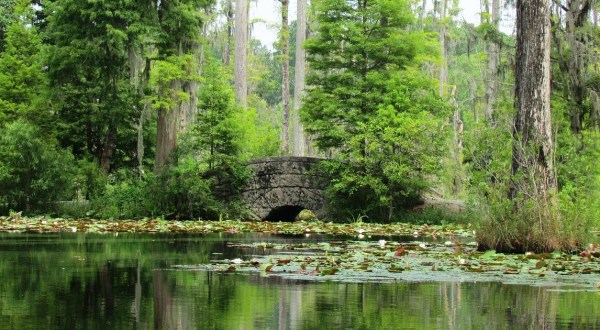 The Stunning Landscape In South Carolina That Appears As Though It Was Ripped From A Claude Monet Painting