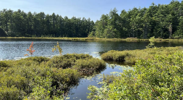 Enjoy A Tranquil Walk At This Underrated State Park In New Hampshire