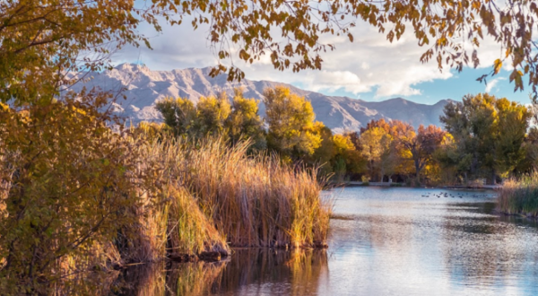 This Huge Park Is Going Cashless In 2024 In Nevada