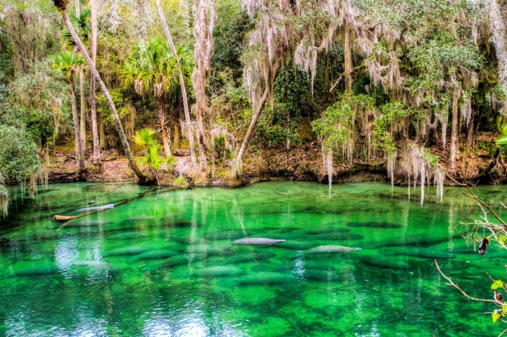 Natural Wonders In Florida