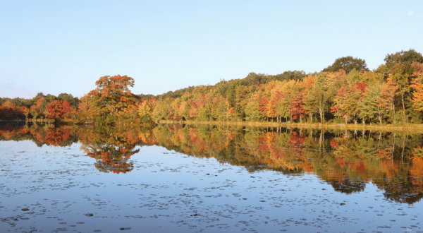 Exploring This State Park In Pennsylvania Is The Definition Of An Underrated Adventure