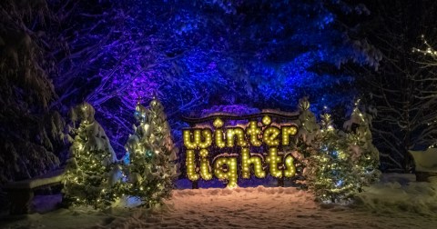 With Miles of Twinkling Lights, This Display In Massachusetts WIll Fill You With Holiday Cheer