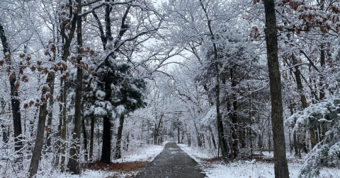 Ring In The New Year On One Of Missouri's Many First Day Hikes