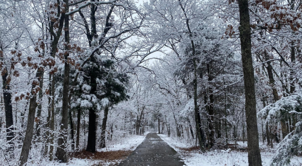 Ring In The New Year On One Of Missouri’s Many First Day Hikes