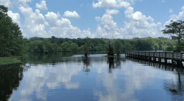 Exploring State Park In Louisiana Is The Definition Of An Underrated Adventure