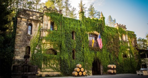 Grab A Passport And Explore Northern California's Best Wineries This Winter
