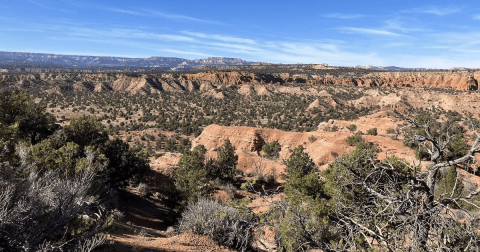 Enjoy A Long Hike At This Underrated State Park In Utah