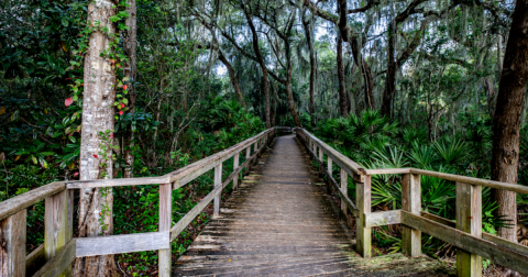 This Little-Known Trail Is Quite Possibly The Best Walking Path In Florida