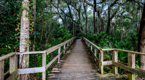 This Little-Known Trail Is Quite Possibly The Best Walking Path In Florida