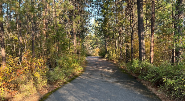 This Little-Known Trail Is Quite Possibly The Best Biking and Walking Path In Idaho