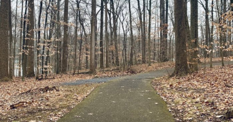 Enjoy A Long Walk At This Underrated Regional Park In Maryland