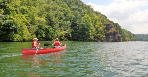 This Picturesque Lake Is Perfect For Easy Fishing, Kayaking, Canoeing, And Bird Watching In Virginia