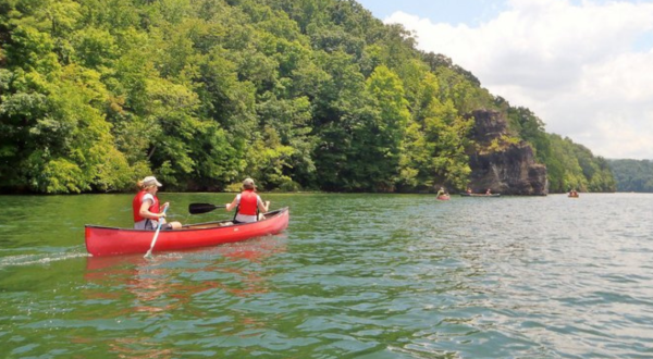This Picturesque Lake Is Perfect For Easy Fishing, Kayaking, Canoeing, And Bird Watching In Virginia