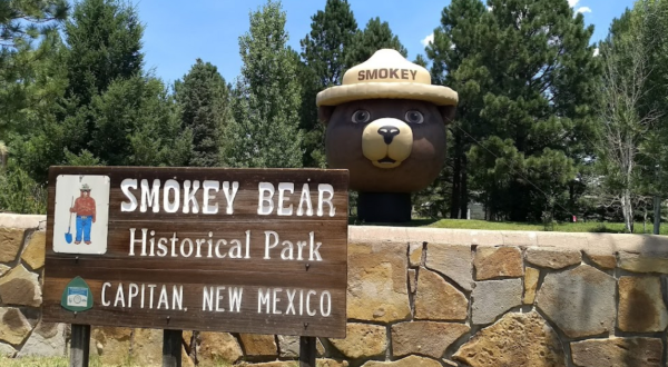 Most People Don’t Know That Smokey Bear’s Gravesite Is Found Right Here In New Mexico