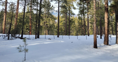 The 3.5-Mile Mars Hill Trail Leads Hikers To The Most Spectacular Winter Scenery In Arizona