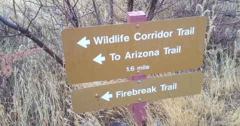 Enjoy A Long Walk At This Underrated State Park In Arizona