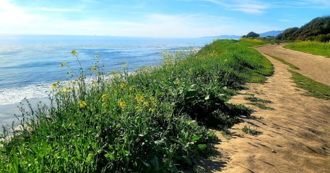 Enjoy A Long Walk At This Underrated Coastal Park In Southern California