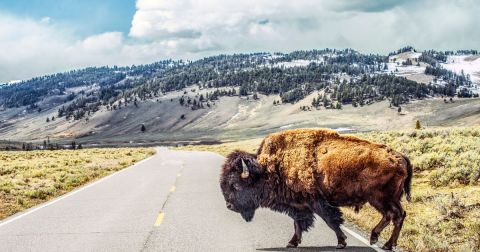 10 Surefire Signs You Have Strong Roots in Montana