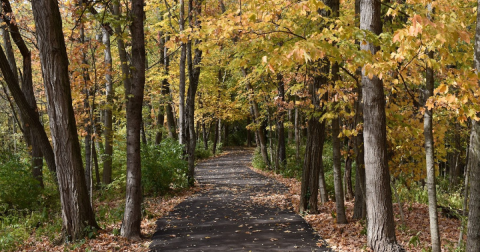 This Little-Known Trail Is Quite Possibly The Best Walking Path In Ohio