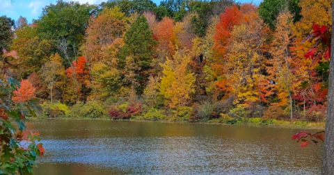 This Little-Known Lake Is Perfect For Easy Fishing, Hiking, And Biking Near Cleveland