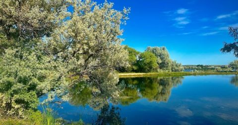 This Little-Known Lake Is Perfect For Easy Fishing, Swimming And Exploring In North Dakota