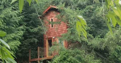 This Washington Treehouse In The Middle Of Nowhere Will Make You Forget All Of Your Worries