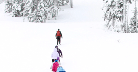 Take A Spectacular, Informative, Free Snowshoeing Tour On Oregon's Mt. Bachelor