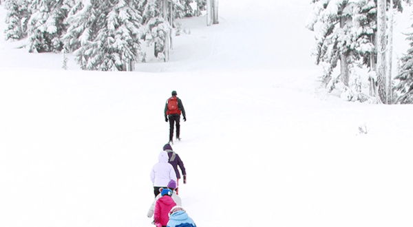 Take A Spectacular, Informative, Free Snowshoeing Tour On Oregon’s Mt. Bachelor
