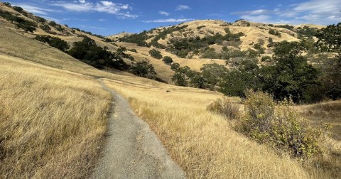 Enjoy A Long Walk At This Underrated County Park In Northern California