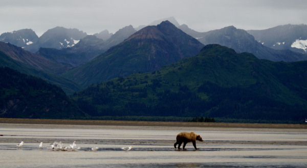 10 Incredible Hidden Gems In Alaska You’ll Want To Discover This Year