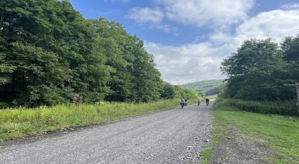 This Little-Known Trail Is Quite Possibly The Best Mountain Biking Path In West Virginia