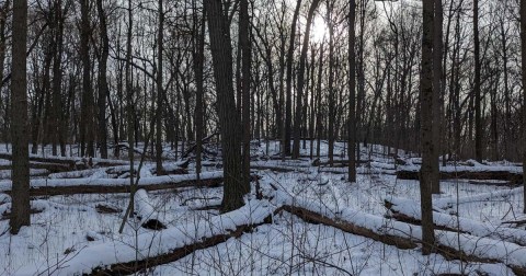 The Winter Snowshoe Trail In Wisconsin That's Pure Magic