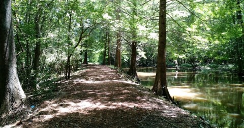 Enjoy A Long Walk At This Underrated Local Park In South Carolina