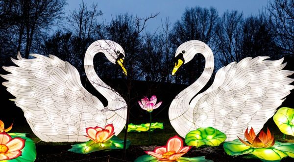 Walk Through A Magical Display Of Over 50 Glowing Chinese Lanterns This Winter At The Houston Botanic Garden