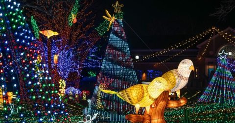 7 Light Displays In Illinois That Are Pure Holiday Magic